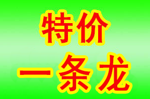 1664503459198558.png 殡葬服务.png